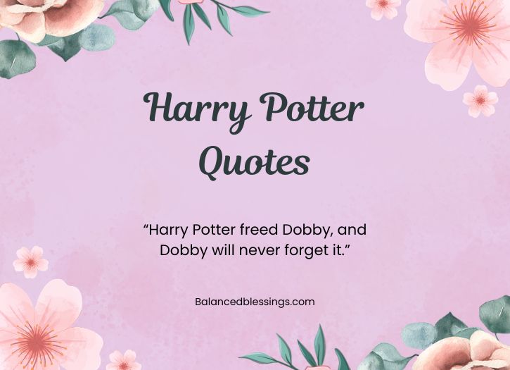 Dobby Harry Potter Quotes